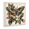 Stupell Industries Green Patterned Moth Wall Plaque Art Design by Steve Huntziker